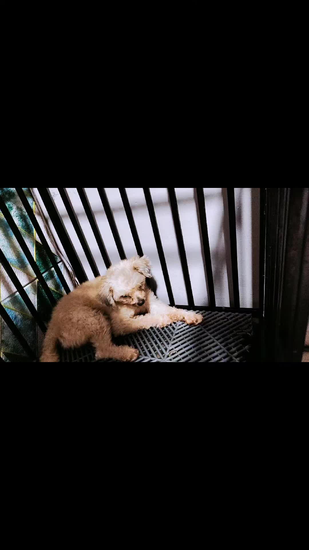 @💚NeLsoN🇲🇾PaNdabAbY⬇️🏳️🌈