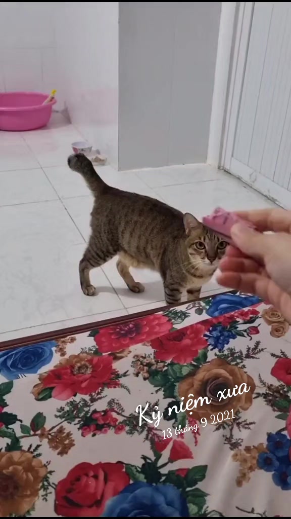 @Khế thúi