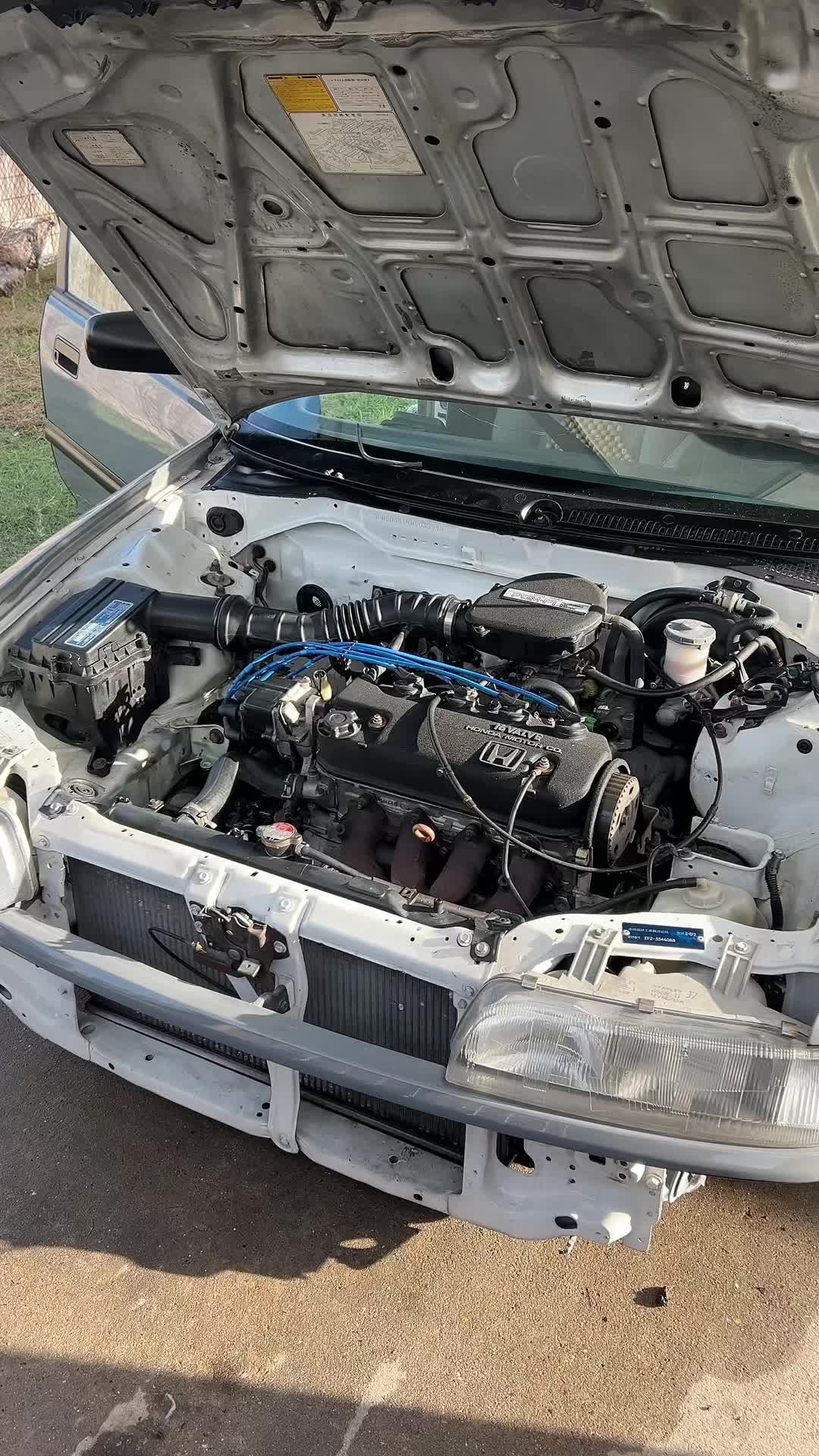 @txefsedan91