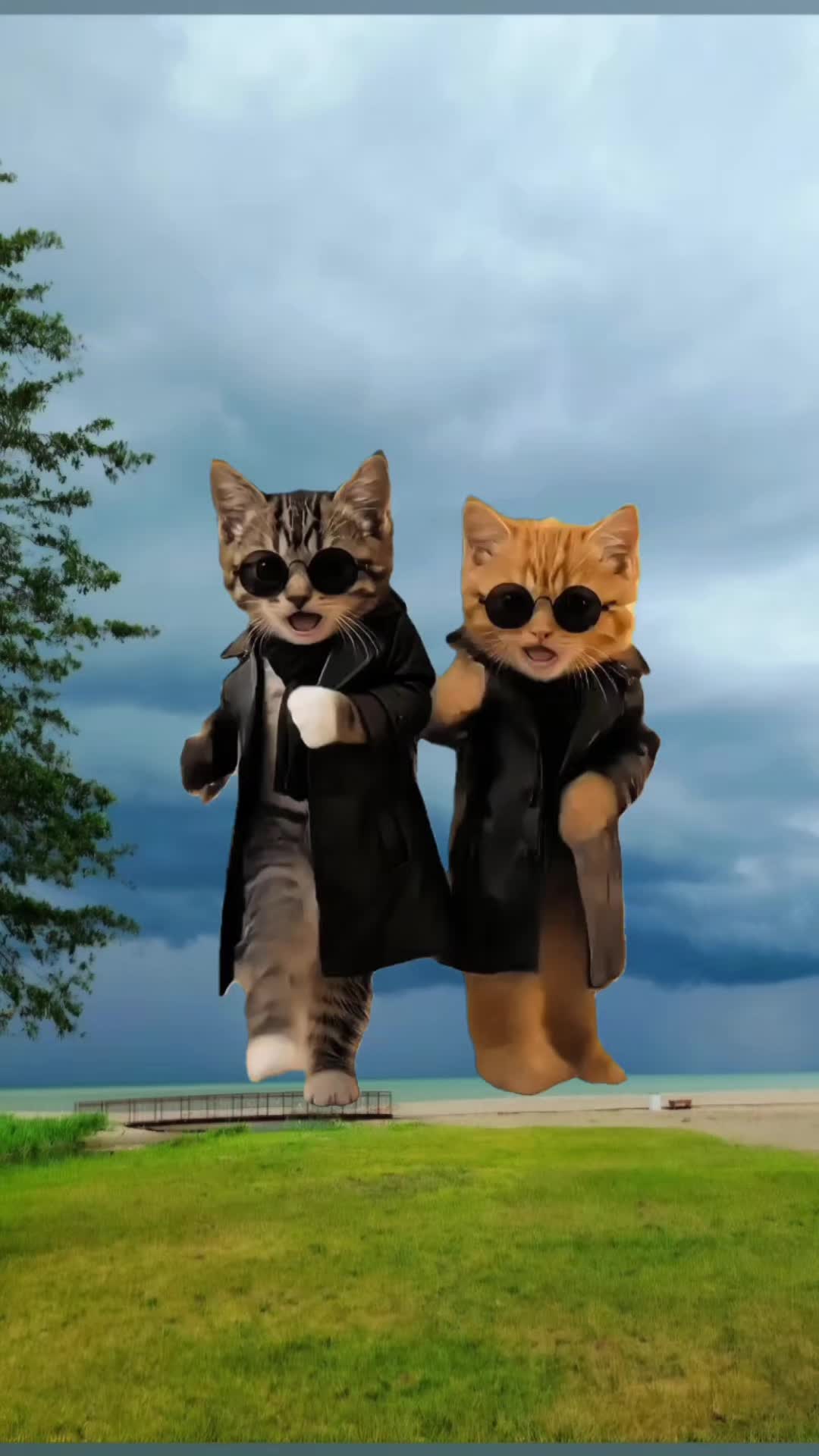 @SudzyDudz77❤️🐱💚
