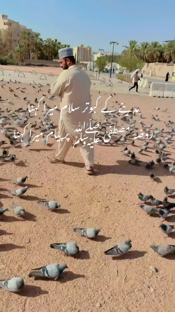 @Sajidskp11
