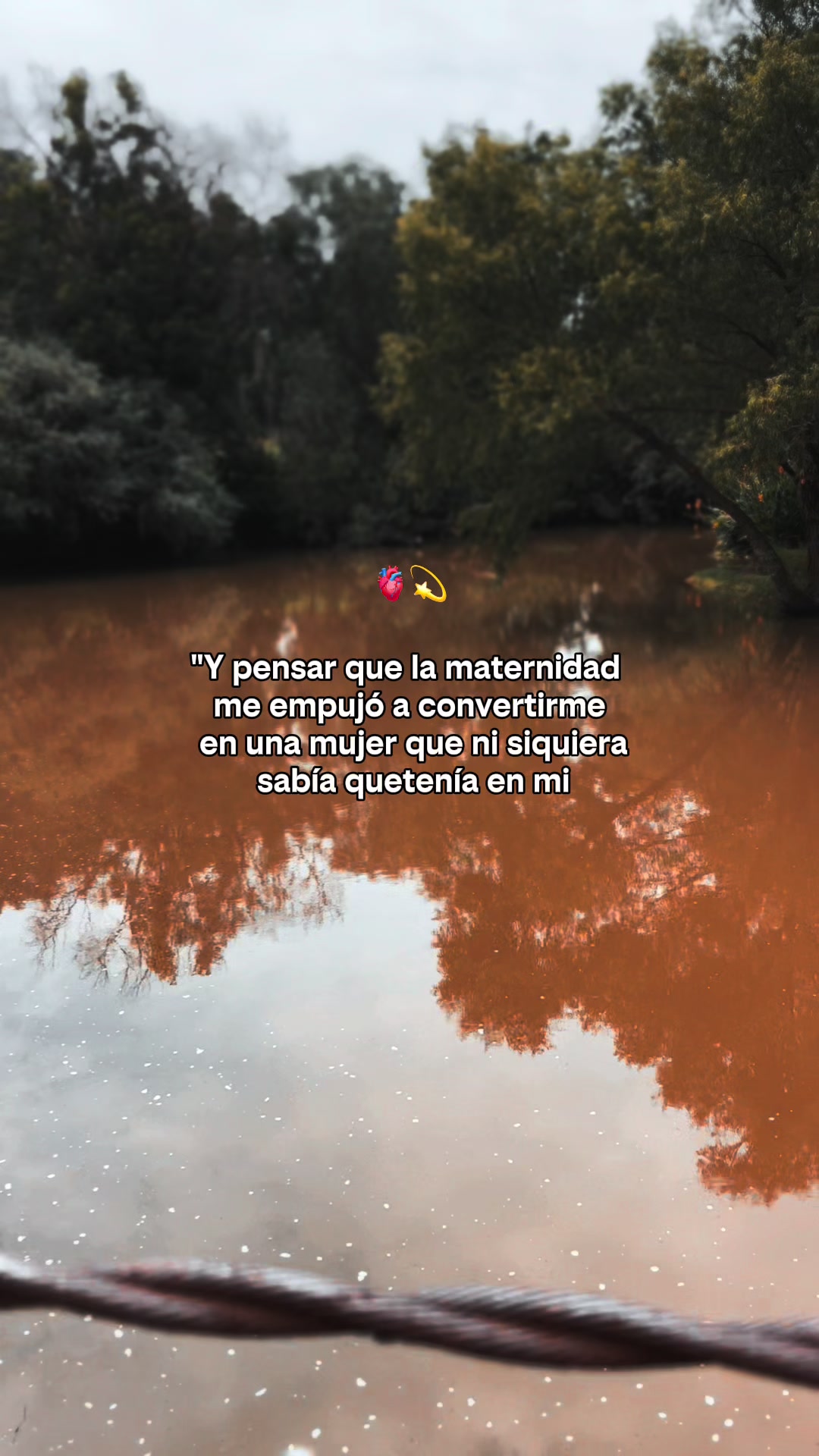 @𝓜𝓪𝓻 𝓡𝓪𝓶𝓲𝓻𝓮𝔃 🌻
