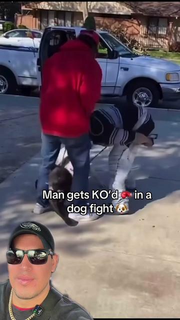 @🪶TheN8tiveDogfather🐾