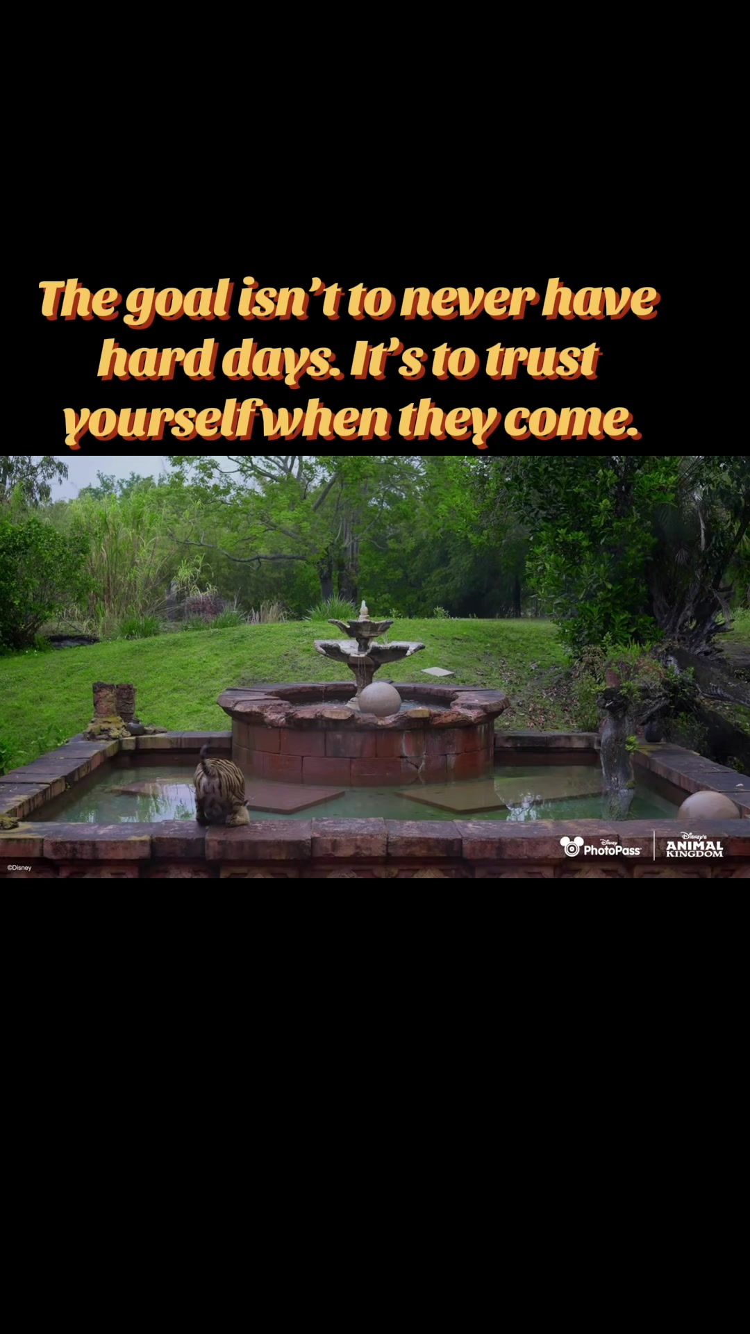 @willowinbloomwellness