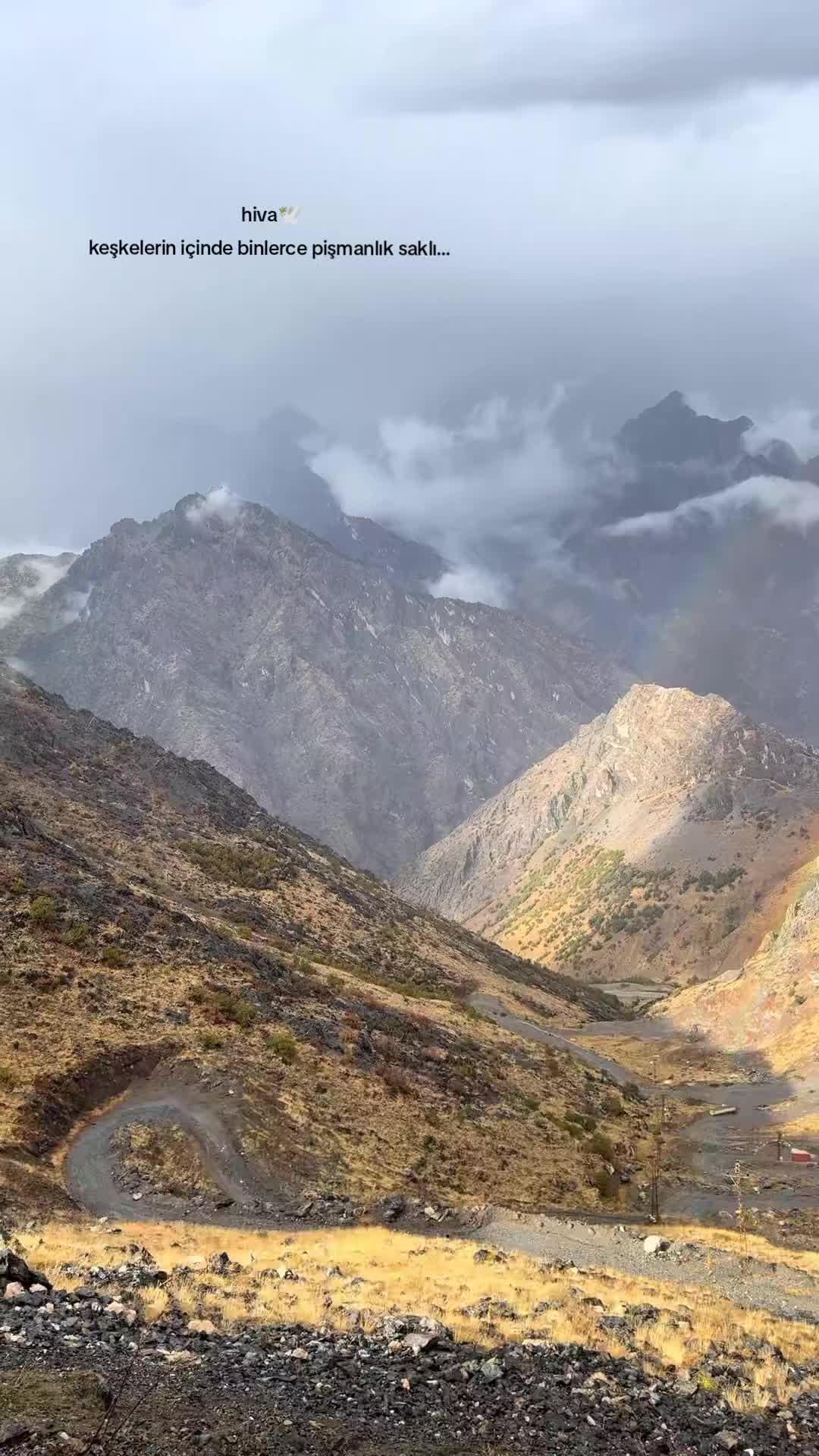 @Hiva gever