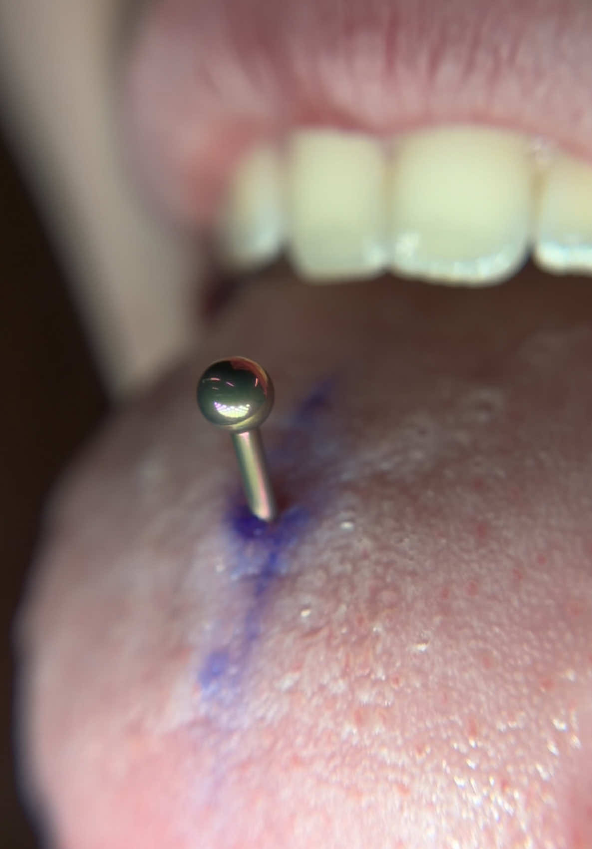 @PiercerSol | SATX Piercings