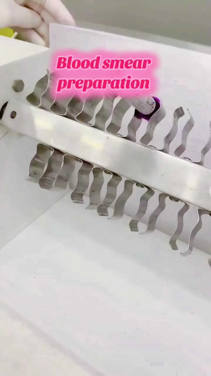 @professional Diagnostic Lab 🧪