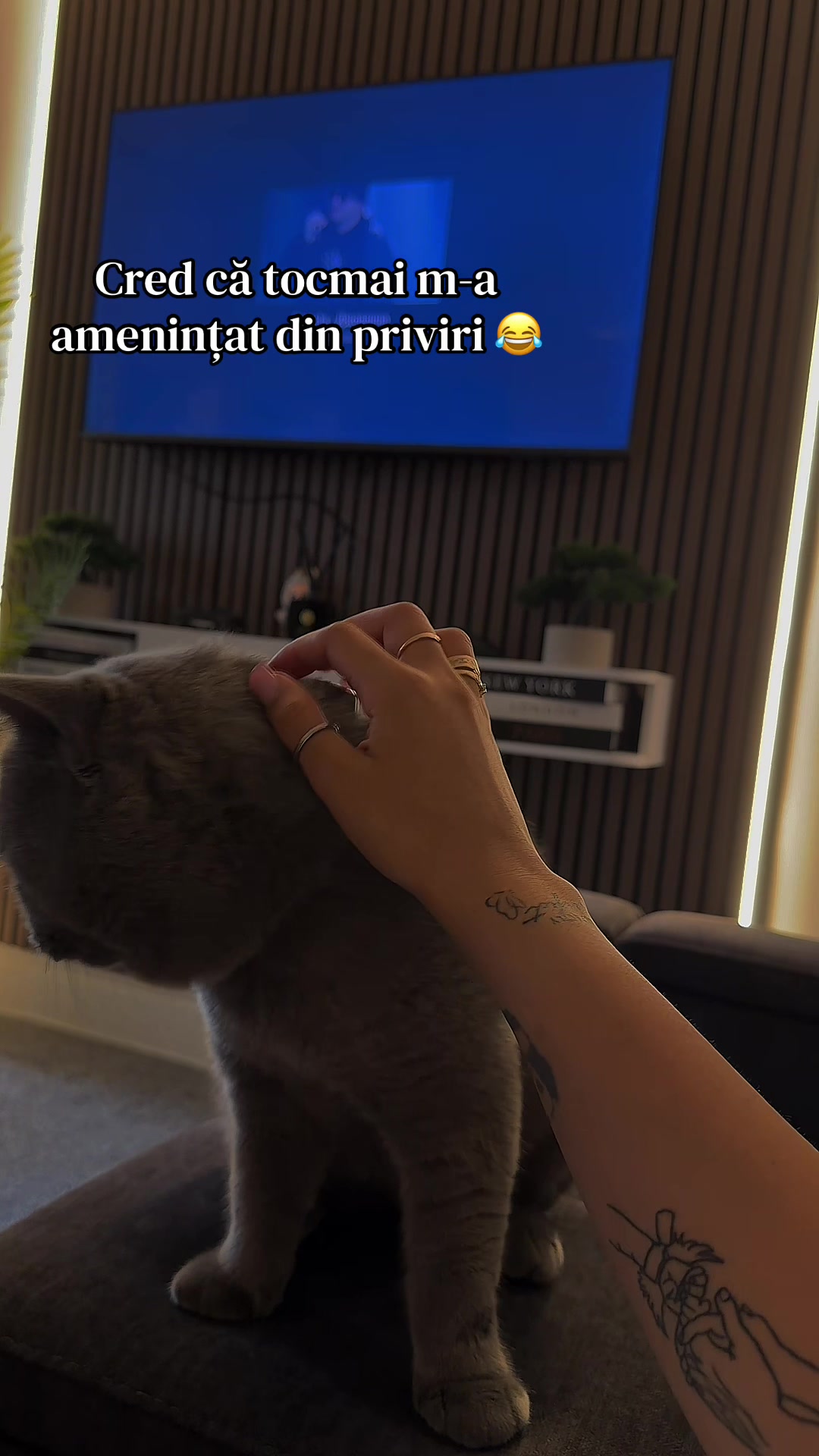 @Onofraș 🦂