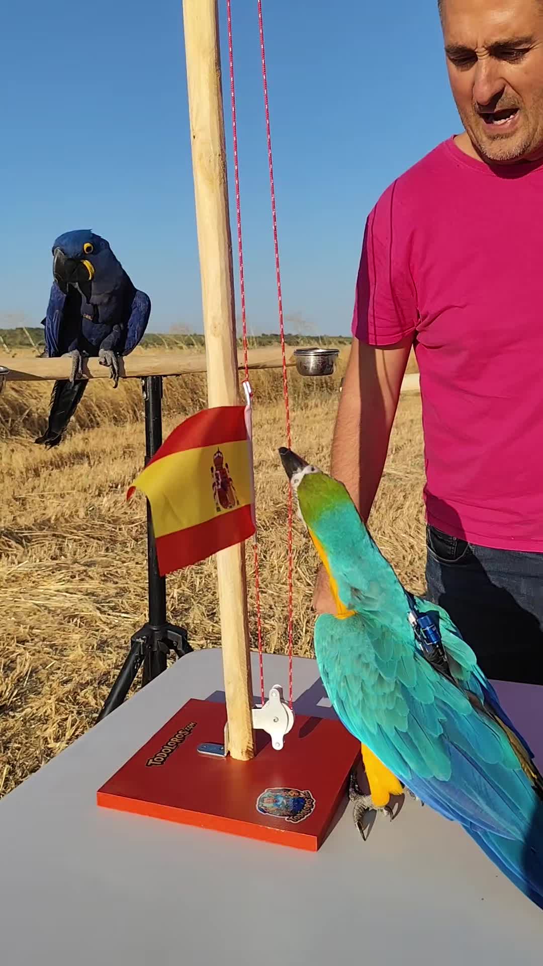 @TODO LOROS