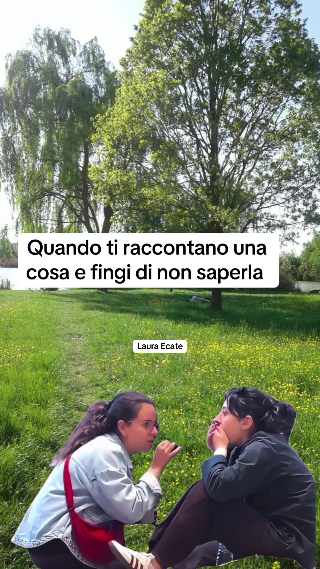 @Laura Ecate