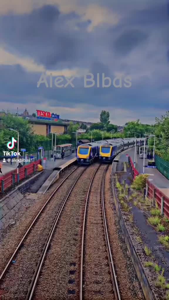 @Alex Blbas🦅