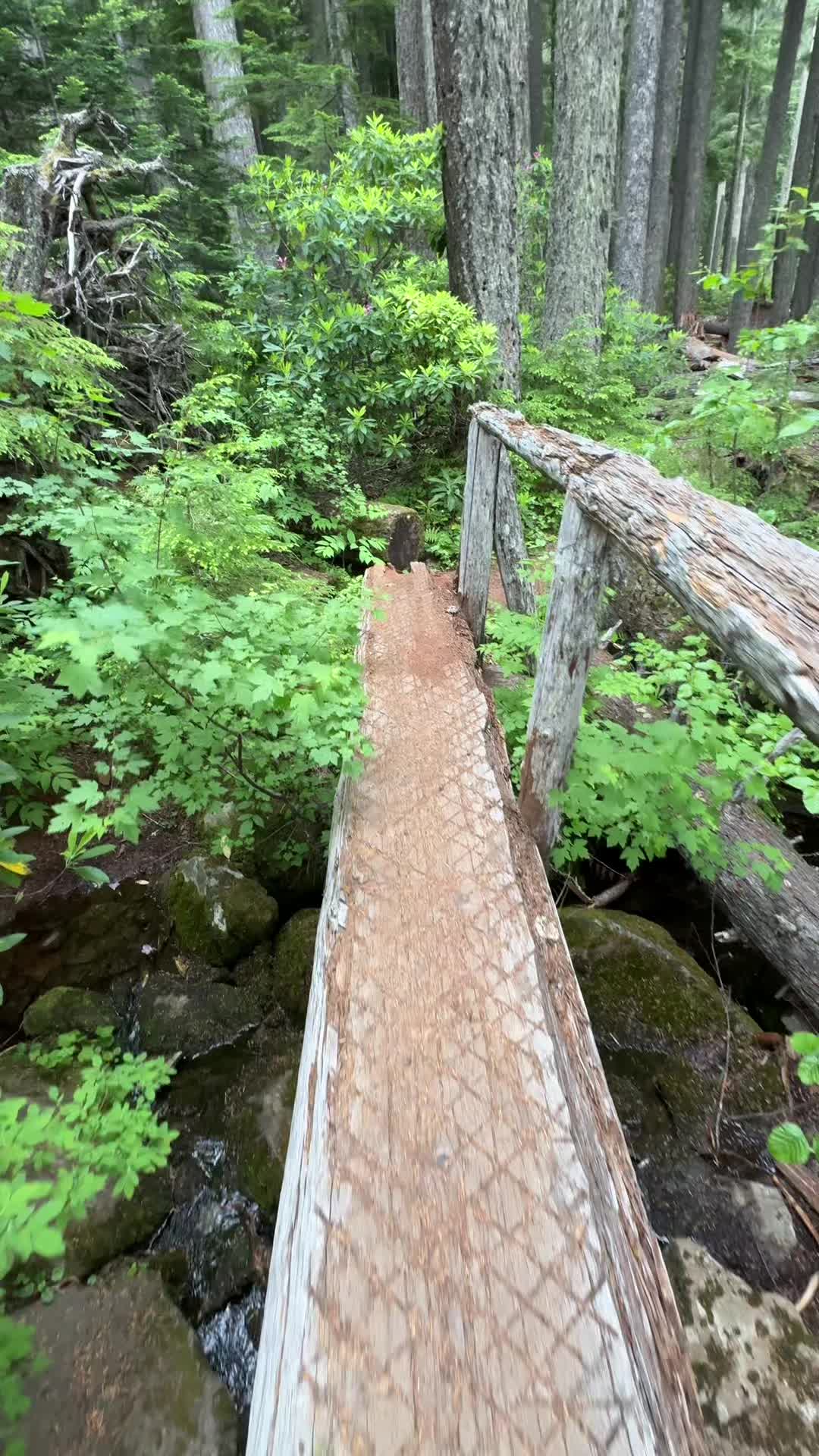 @Oregon Coast
