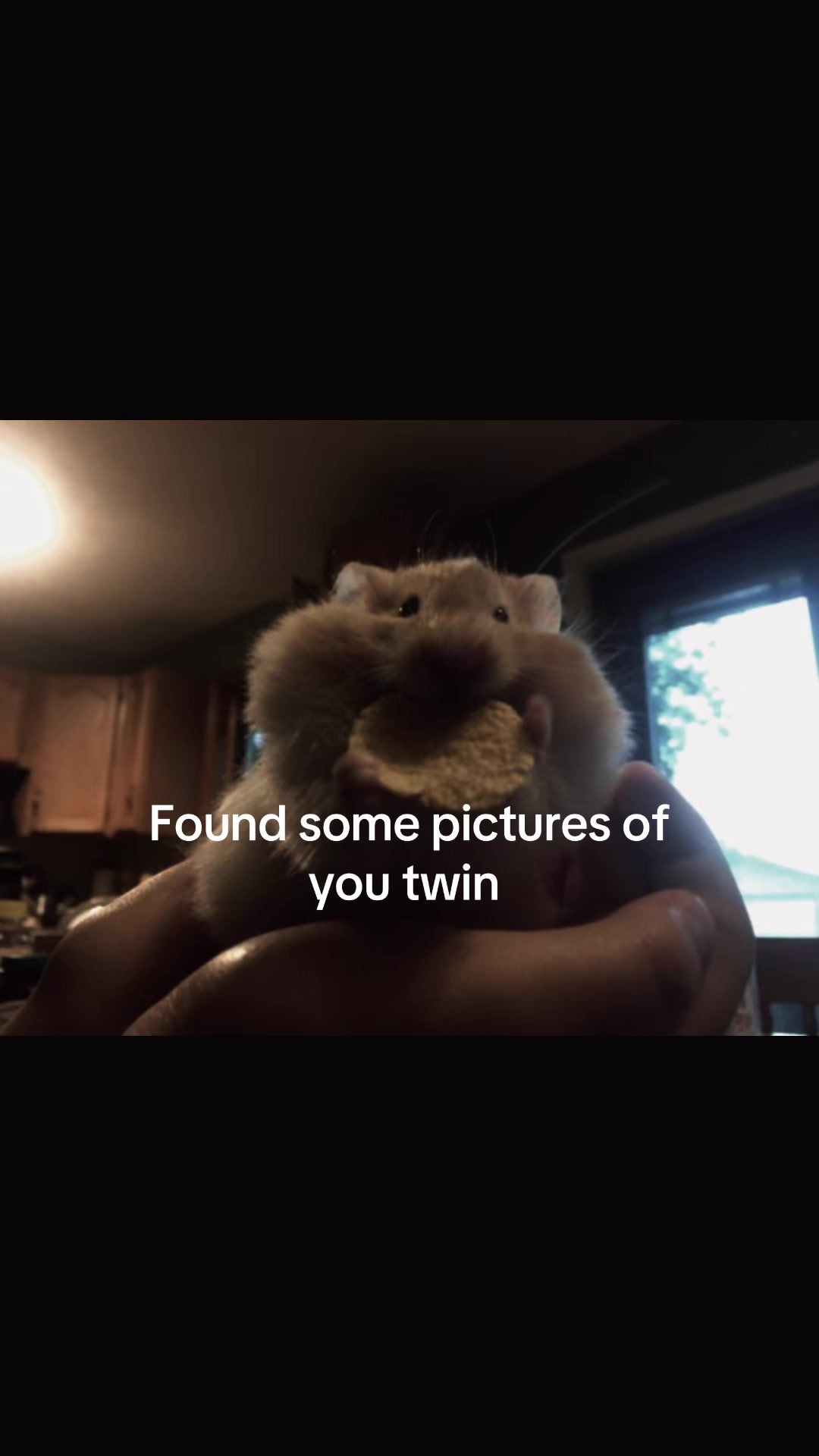 @Beehasadisorder