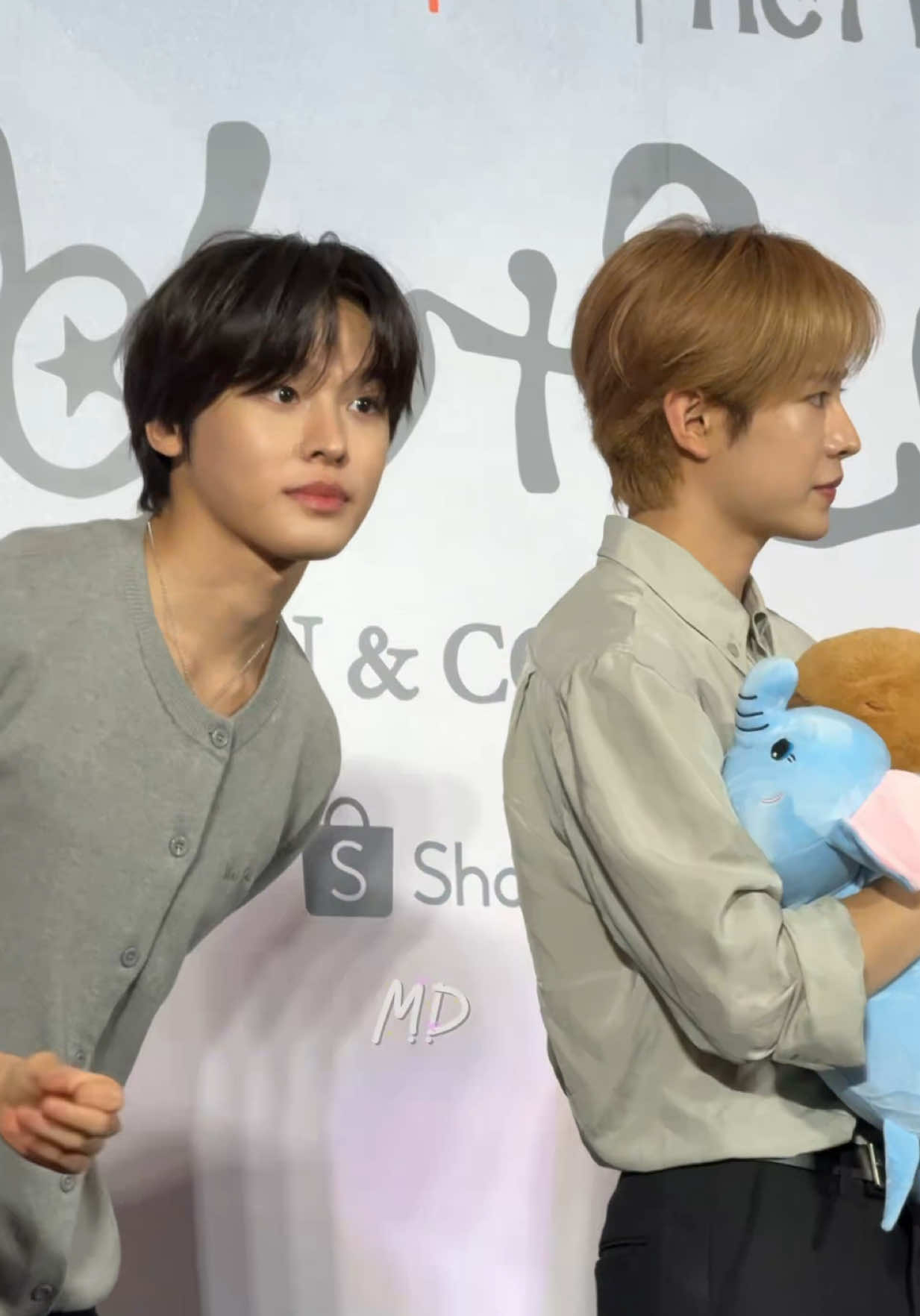 @น้องยูชิเป็นเกี๊ยวแมว 🥟🐈