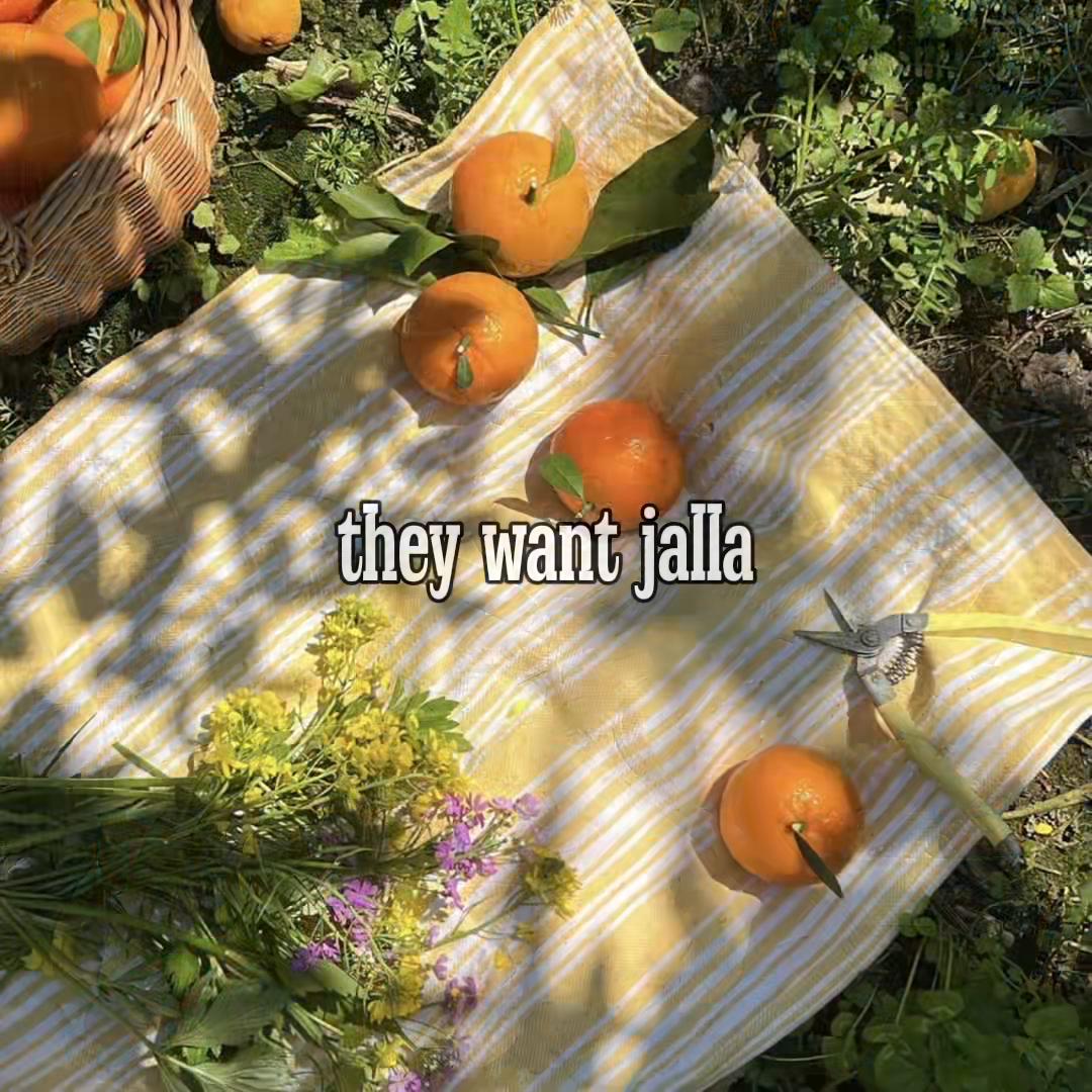 @vj