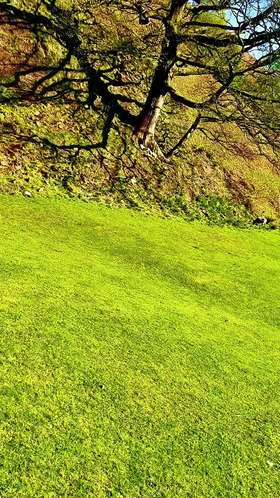 @Nature lover