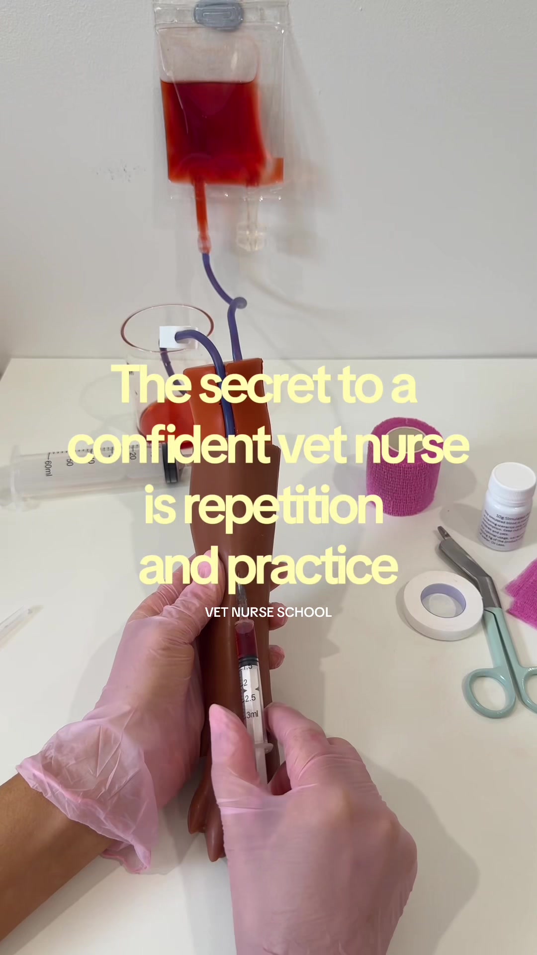 @Tess the Vet Nurse