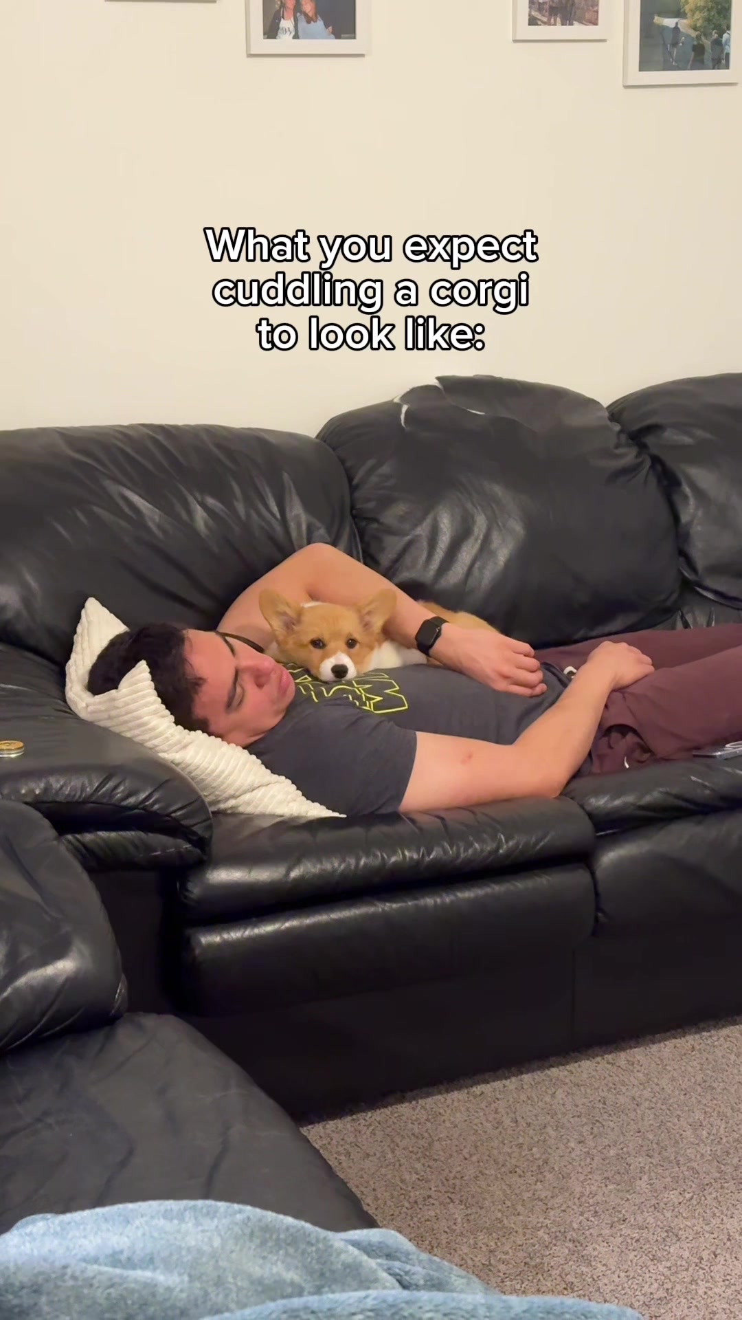 @Hope the Corgi