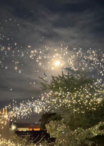 @ミ★ ᗪ卂ᐯ乇 ★彡