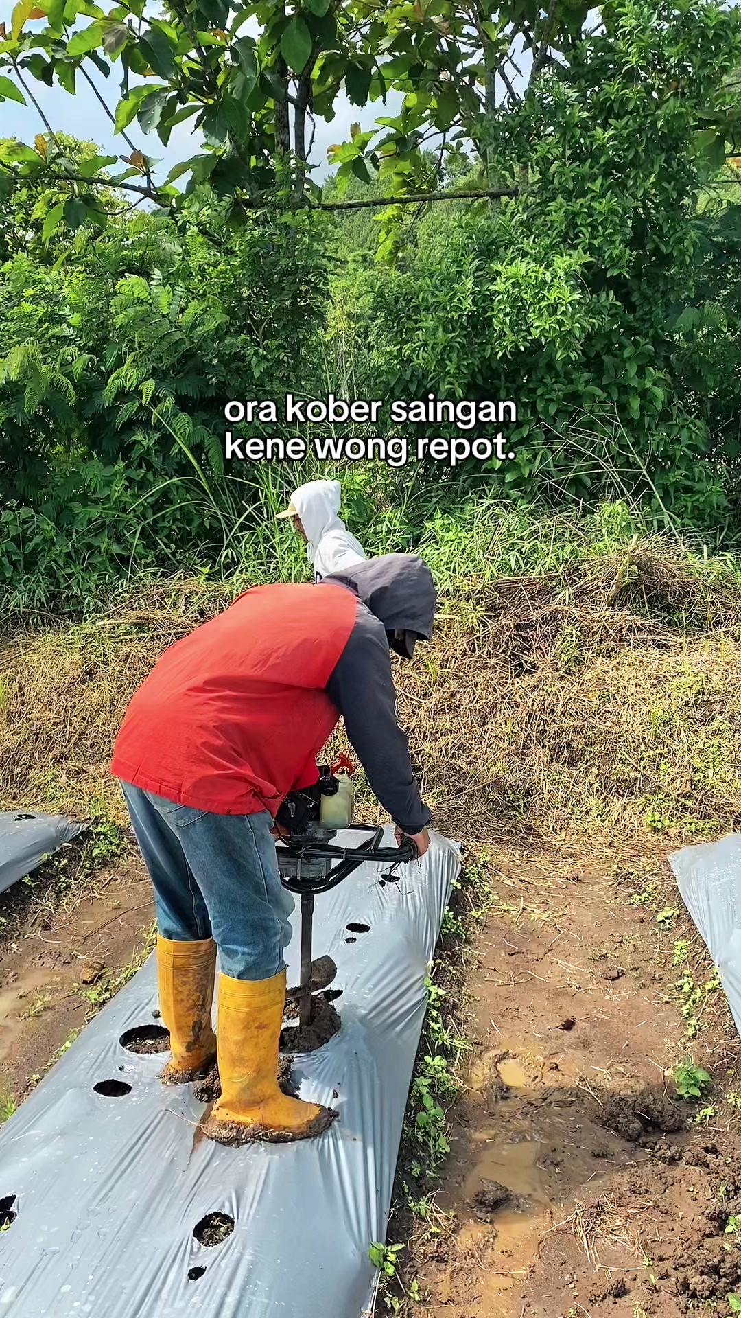 @erianggoro
