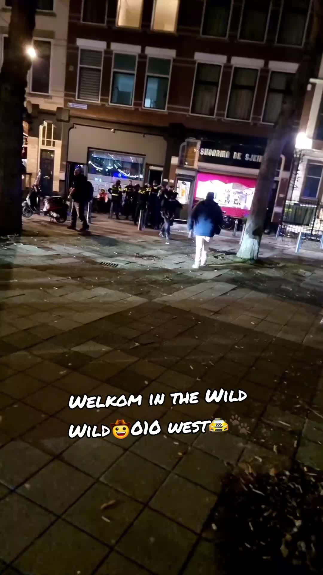 @taxiwoef_special🚖🐾
