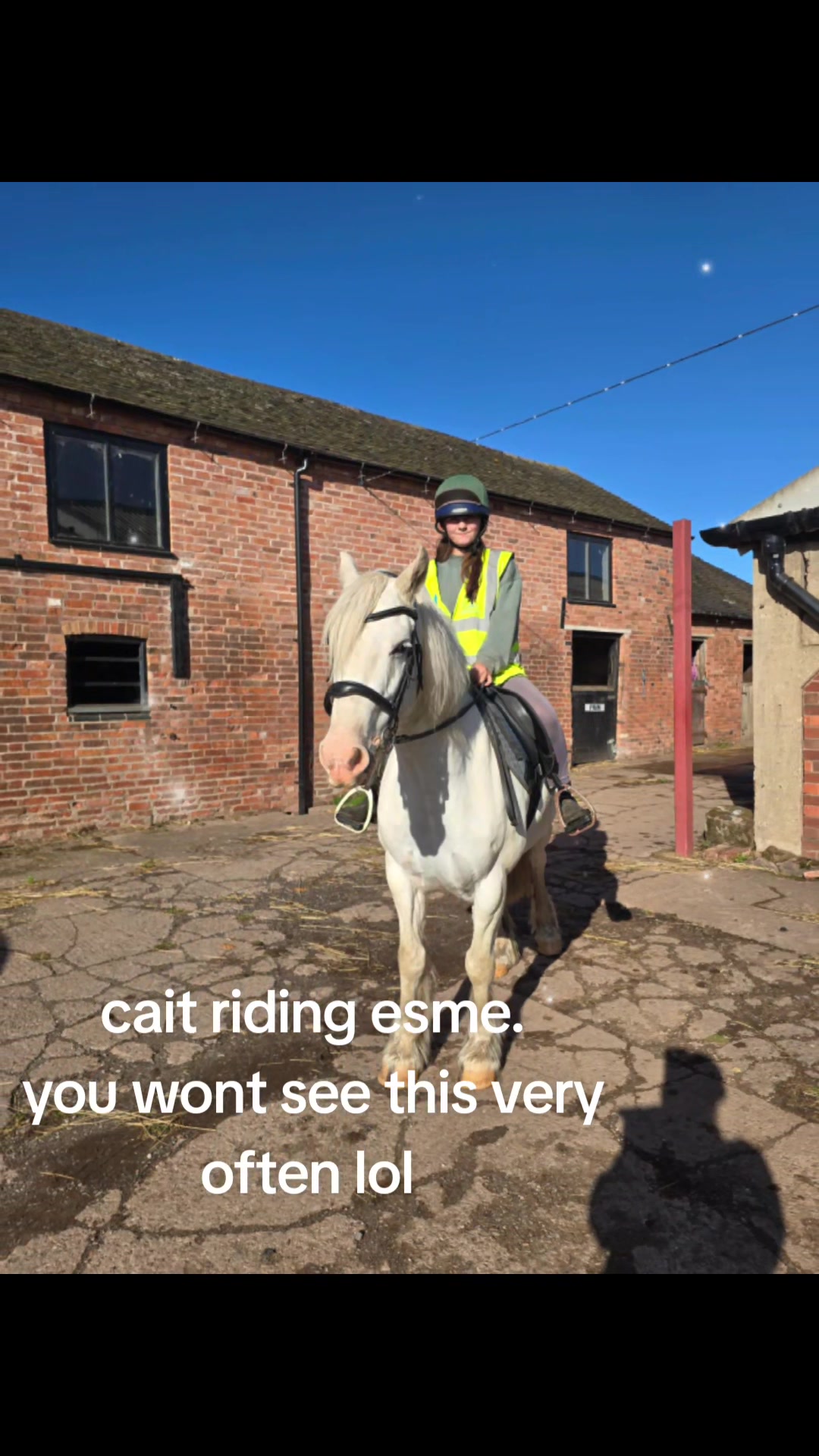 @ponymidlifecrisis