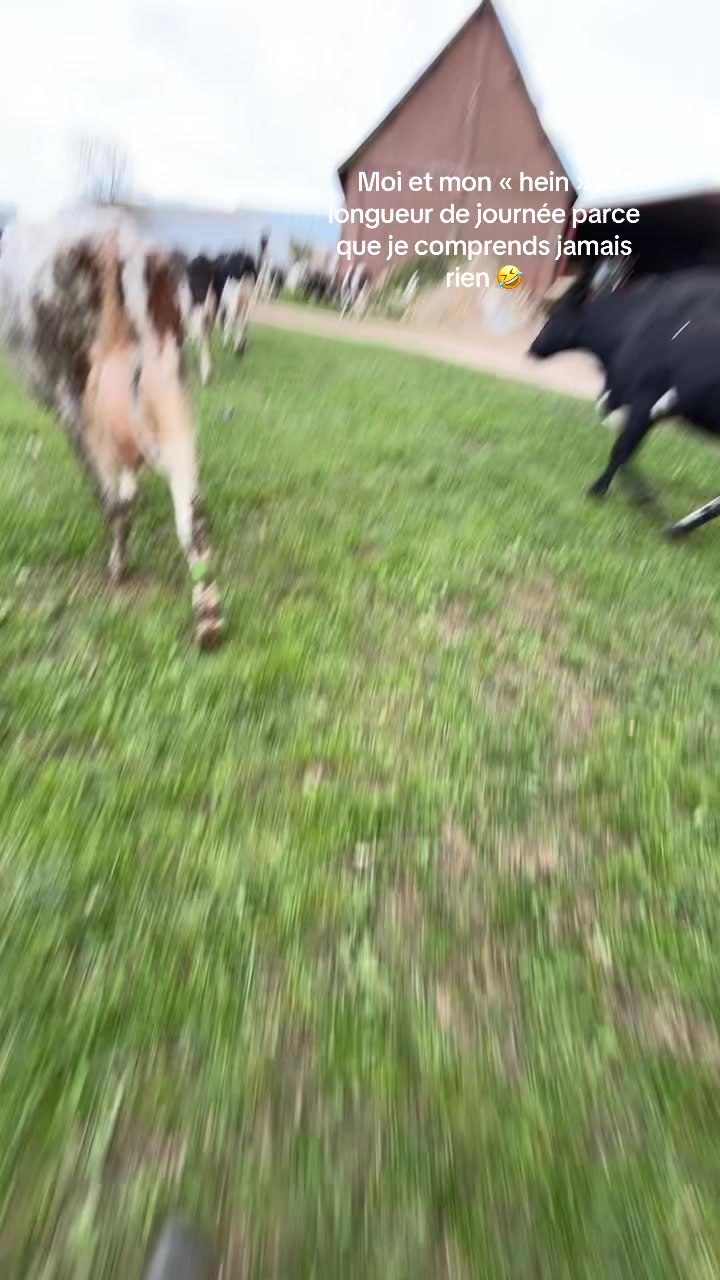 @Océane 🐄🌾