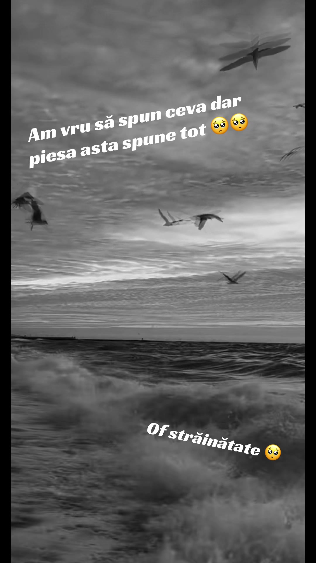 @❤️Marya❤️