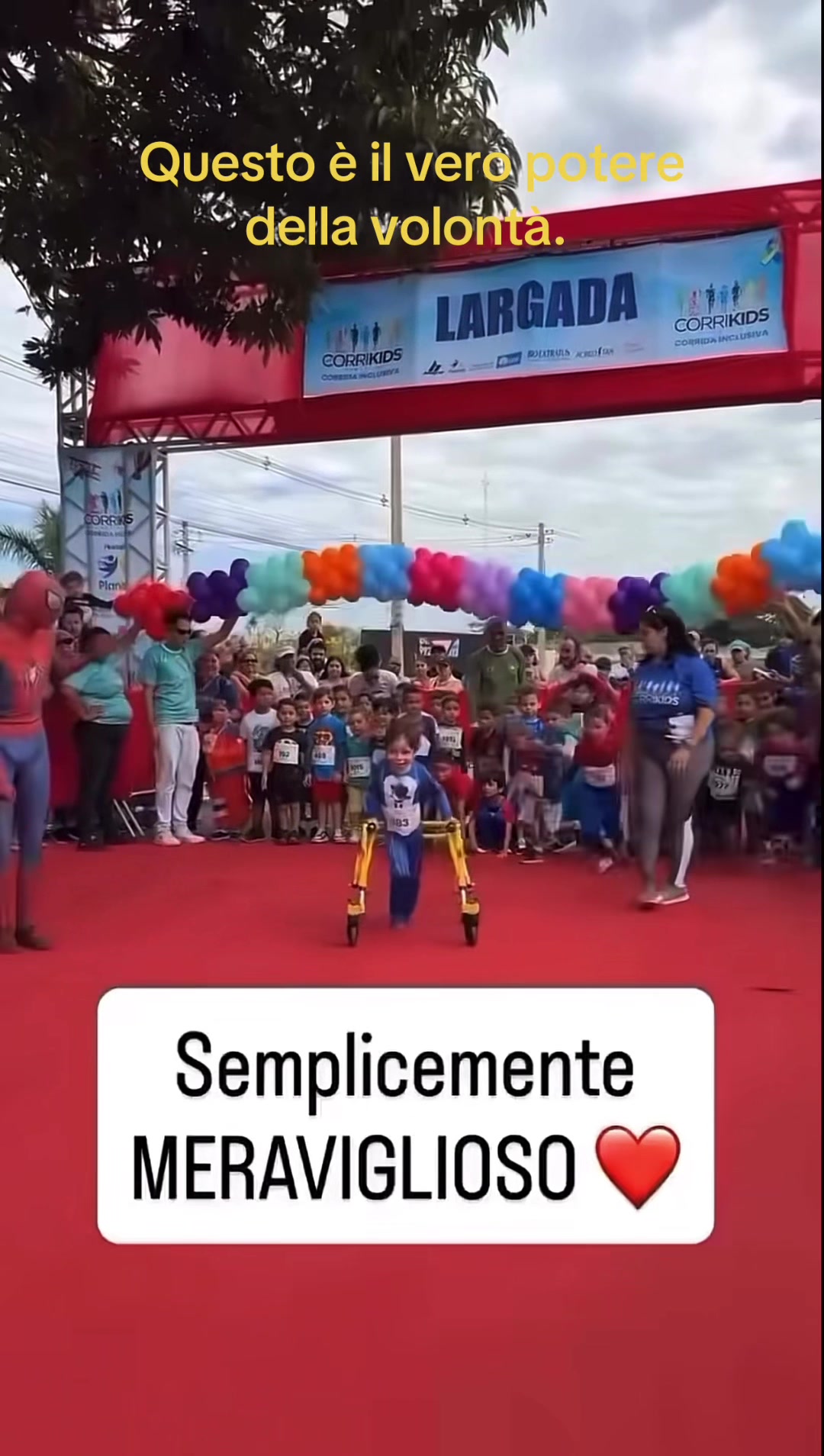 @Ernesto F.