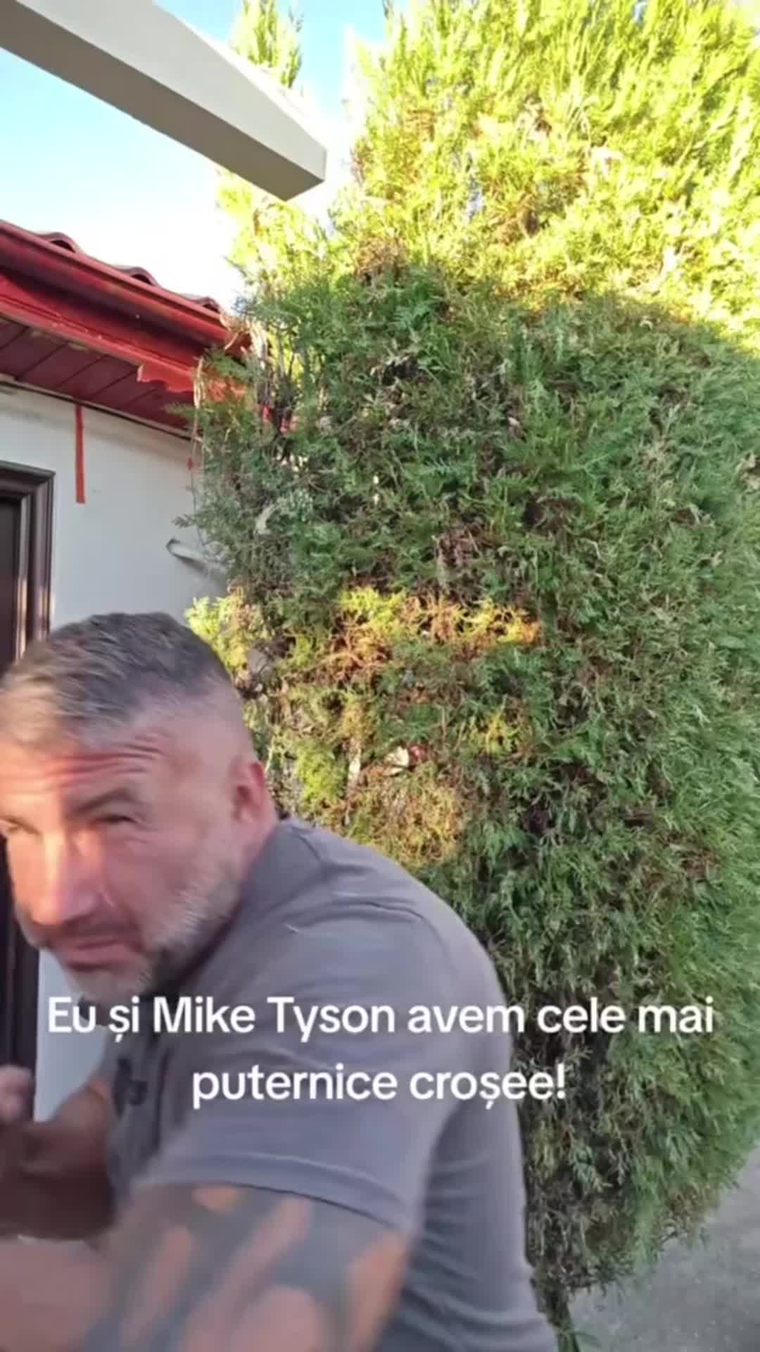 @Pascu Ion✅️