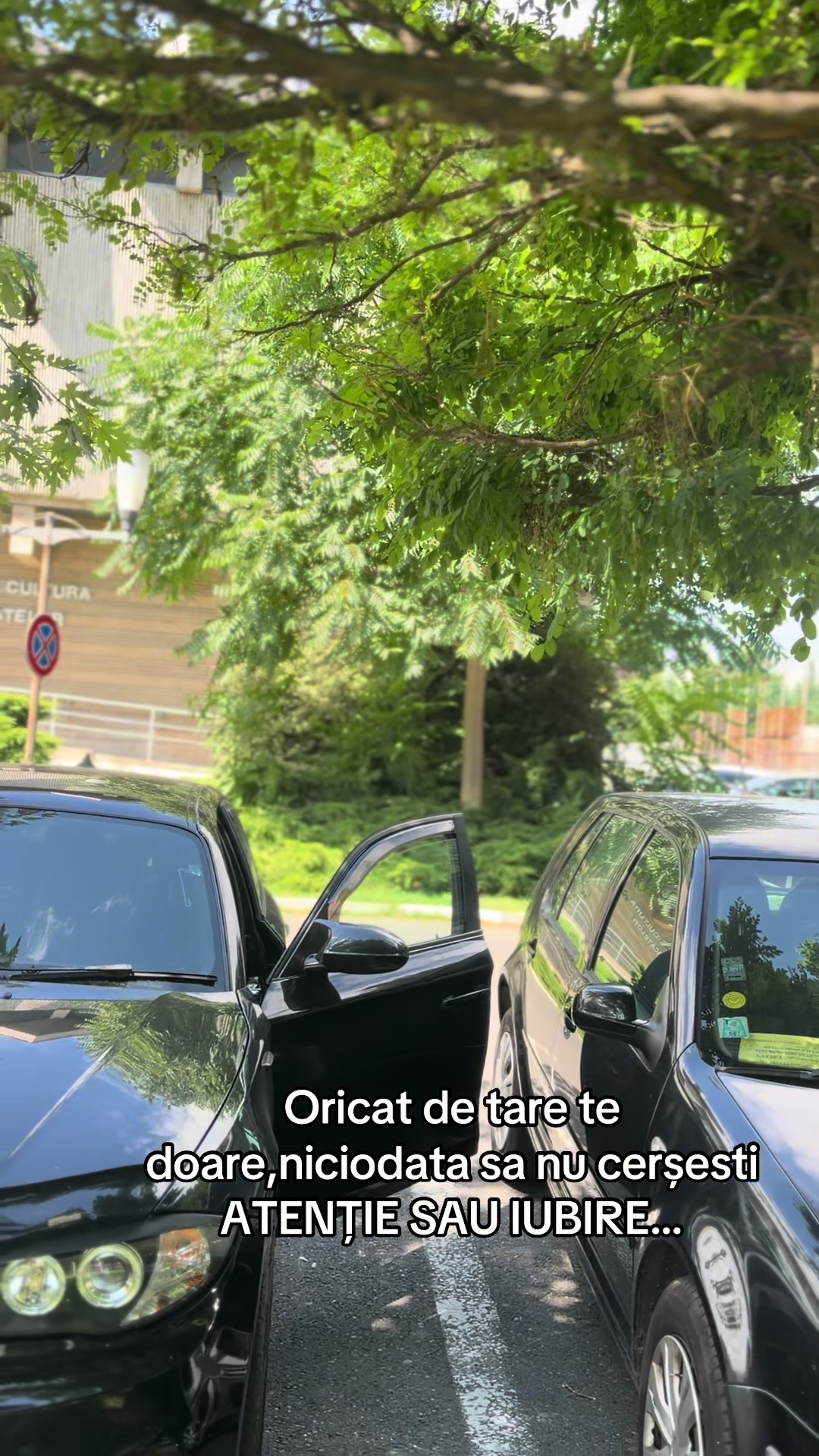 @Cezar.H