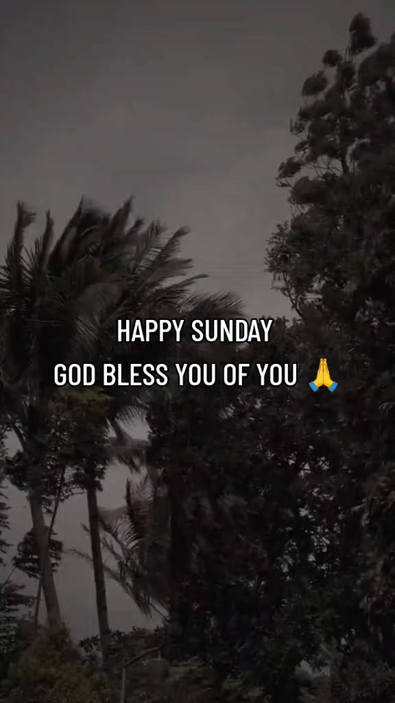 @KHOKHER QUEEN 👑 296 (◕ᴗ◕✿)