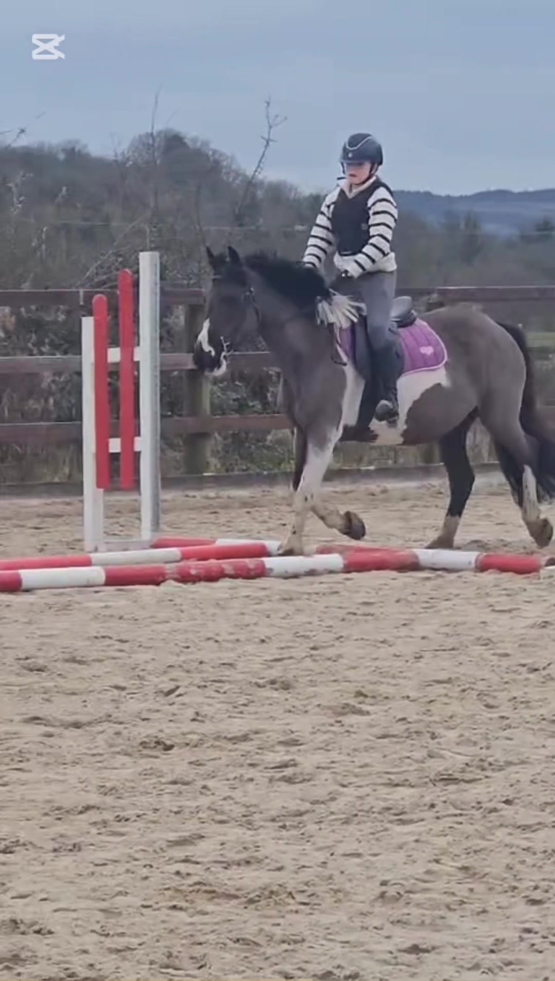 @Saoirse🪽🐎