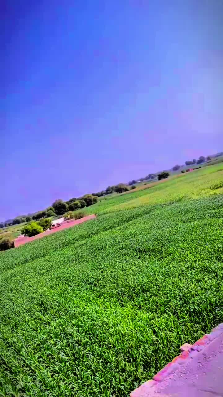 @Usman Dogar Pinda ayla