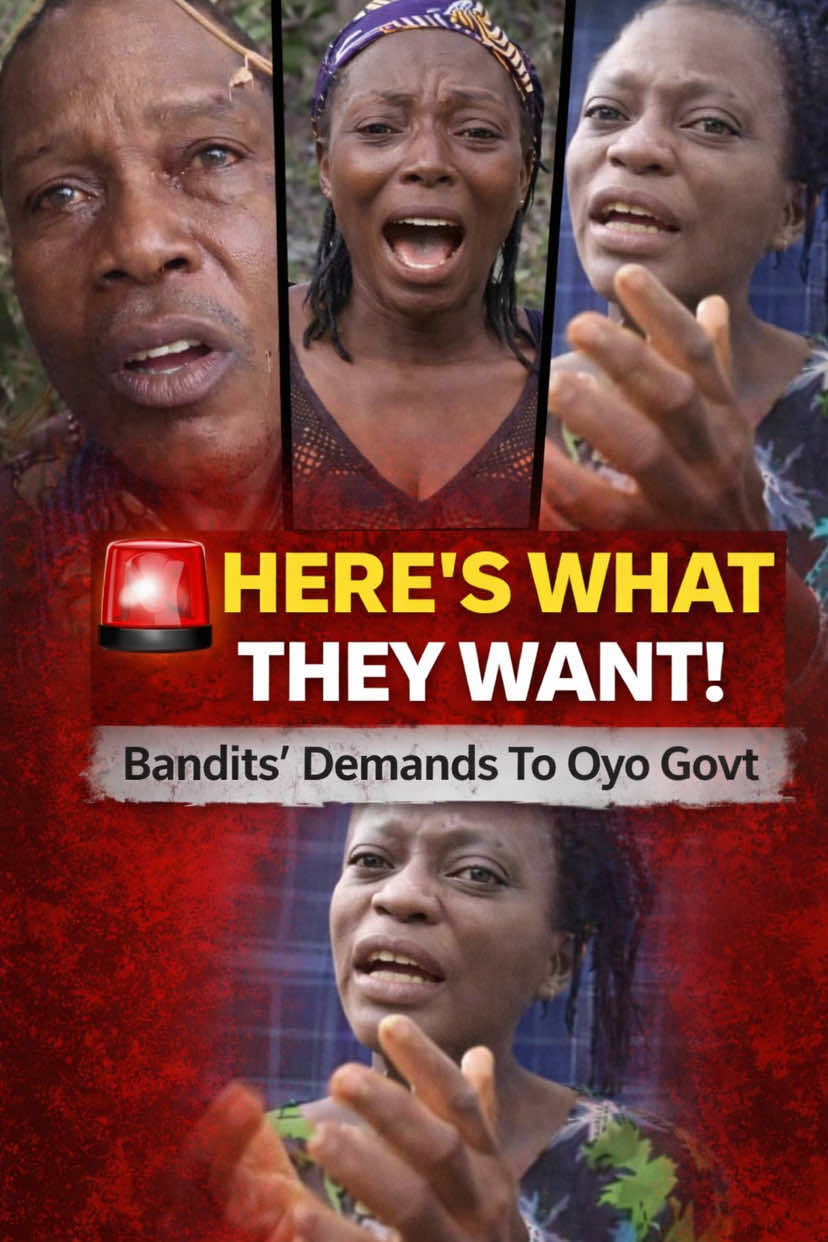 @MOYO TV | History