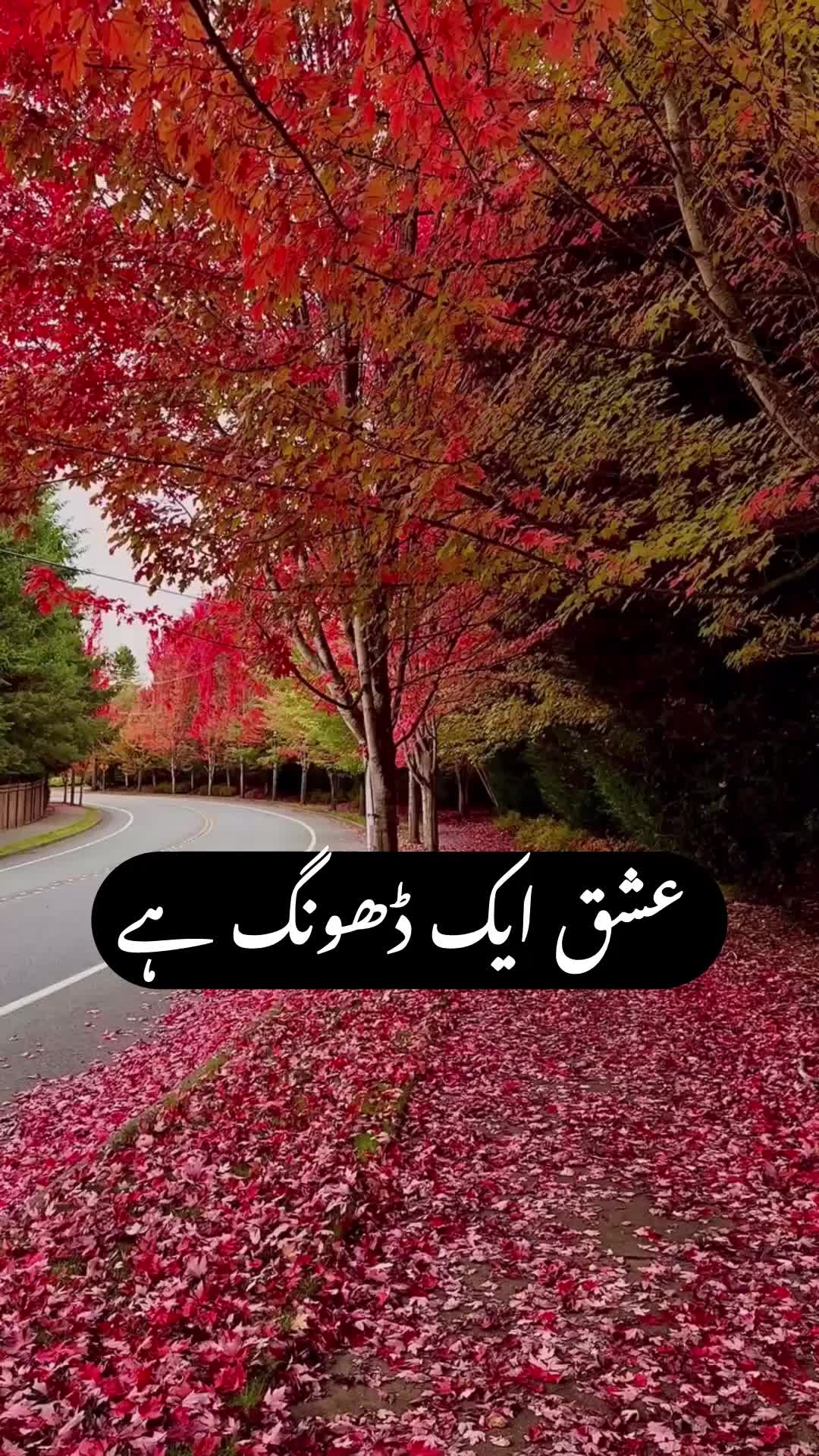 @Kaif Oyun
