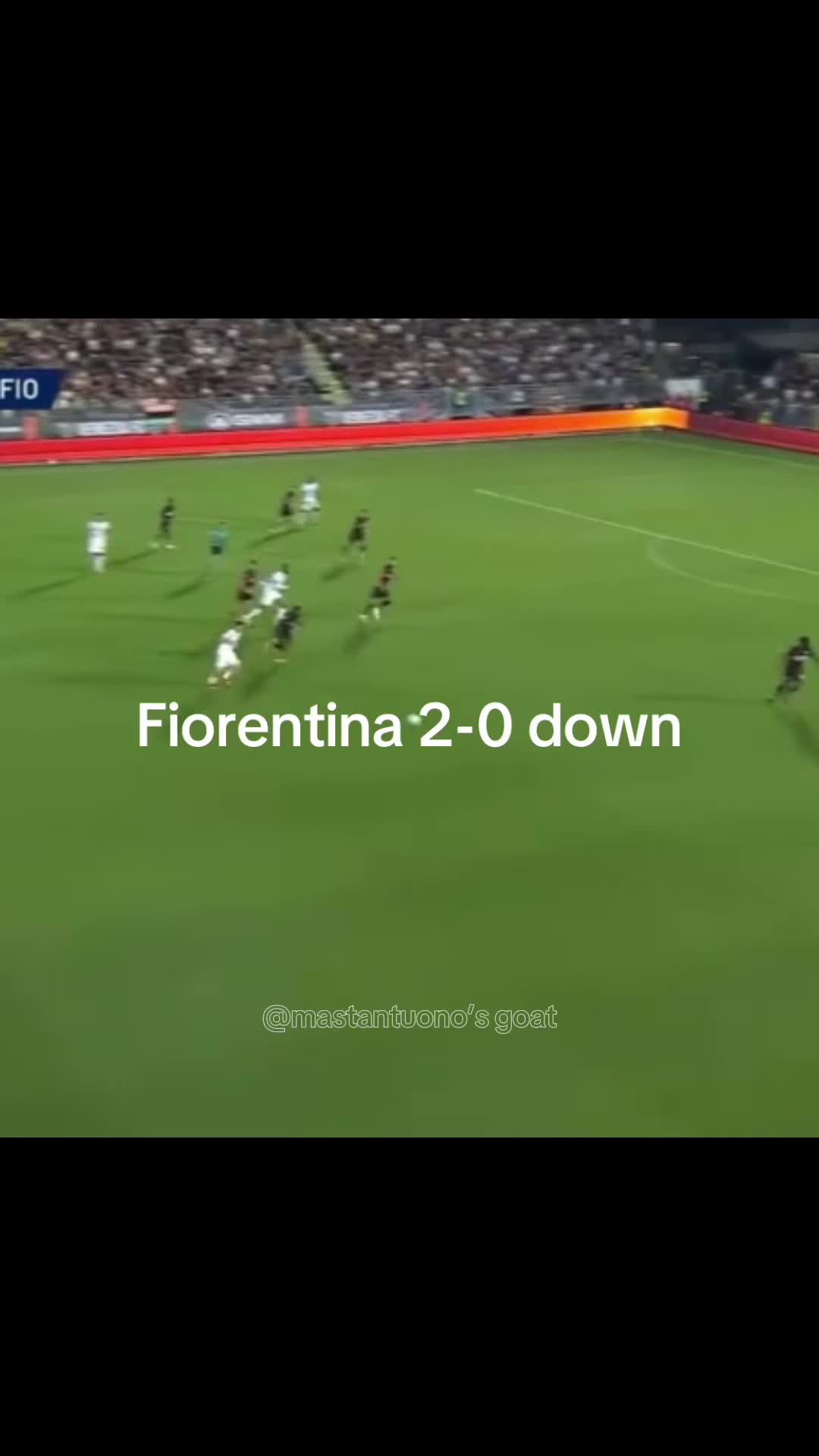 @Mastantuono’s goat