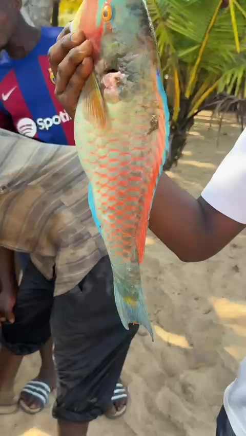 @Kakesoledirecteur