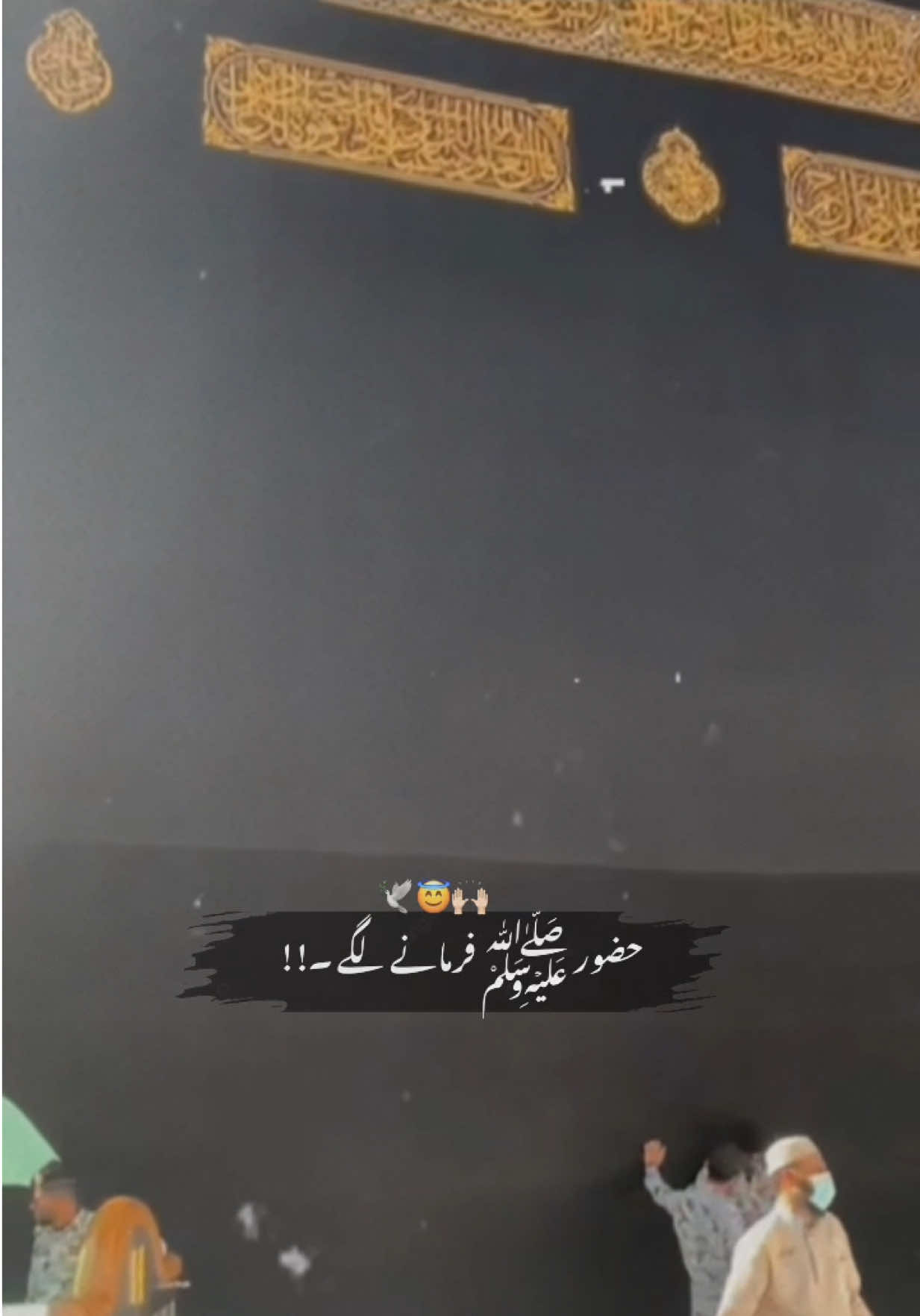 @Noor