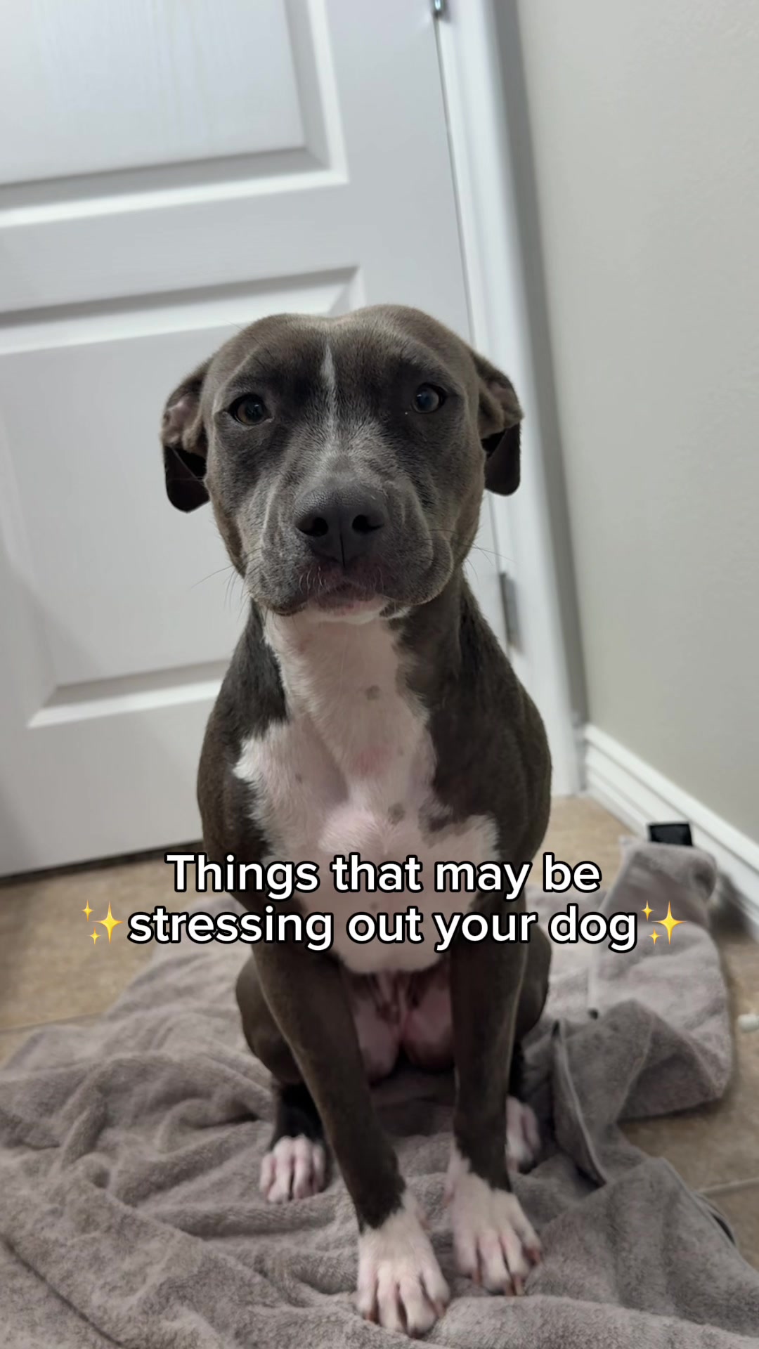 @@knight_thepit