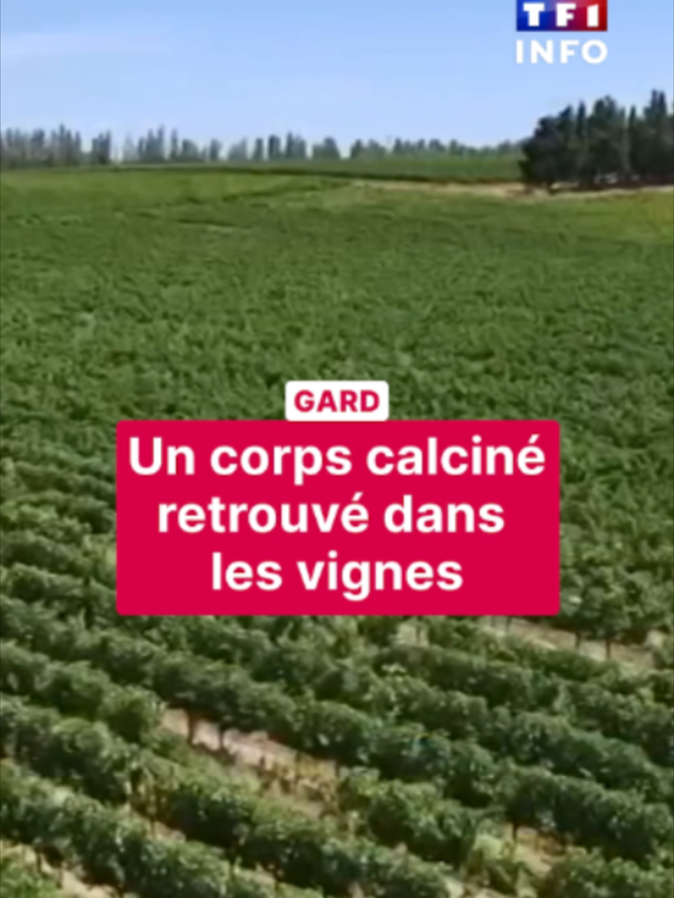 @TF1 INFO