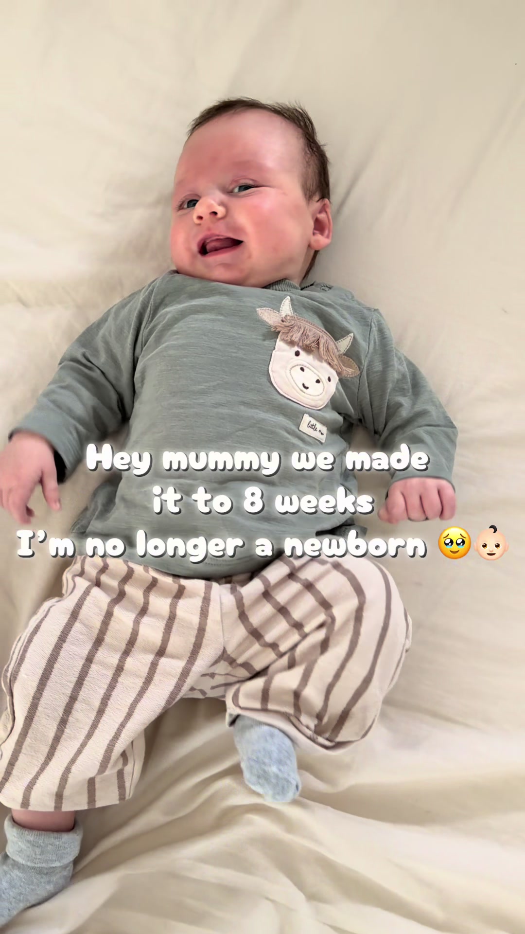 @ellielawton_