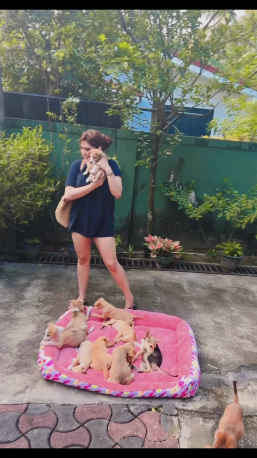 @Piumi Hansamali