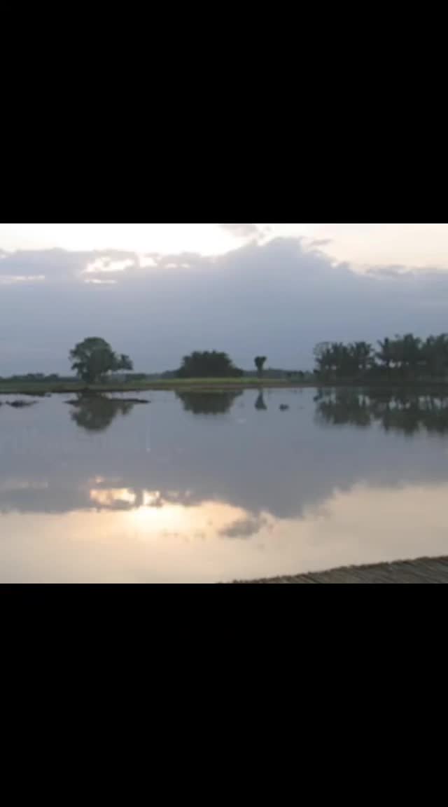@♗💙 ᗰנs C𝐑ᗴ𝒶𝐓𝔦Oℕ 💢🐨