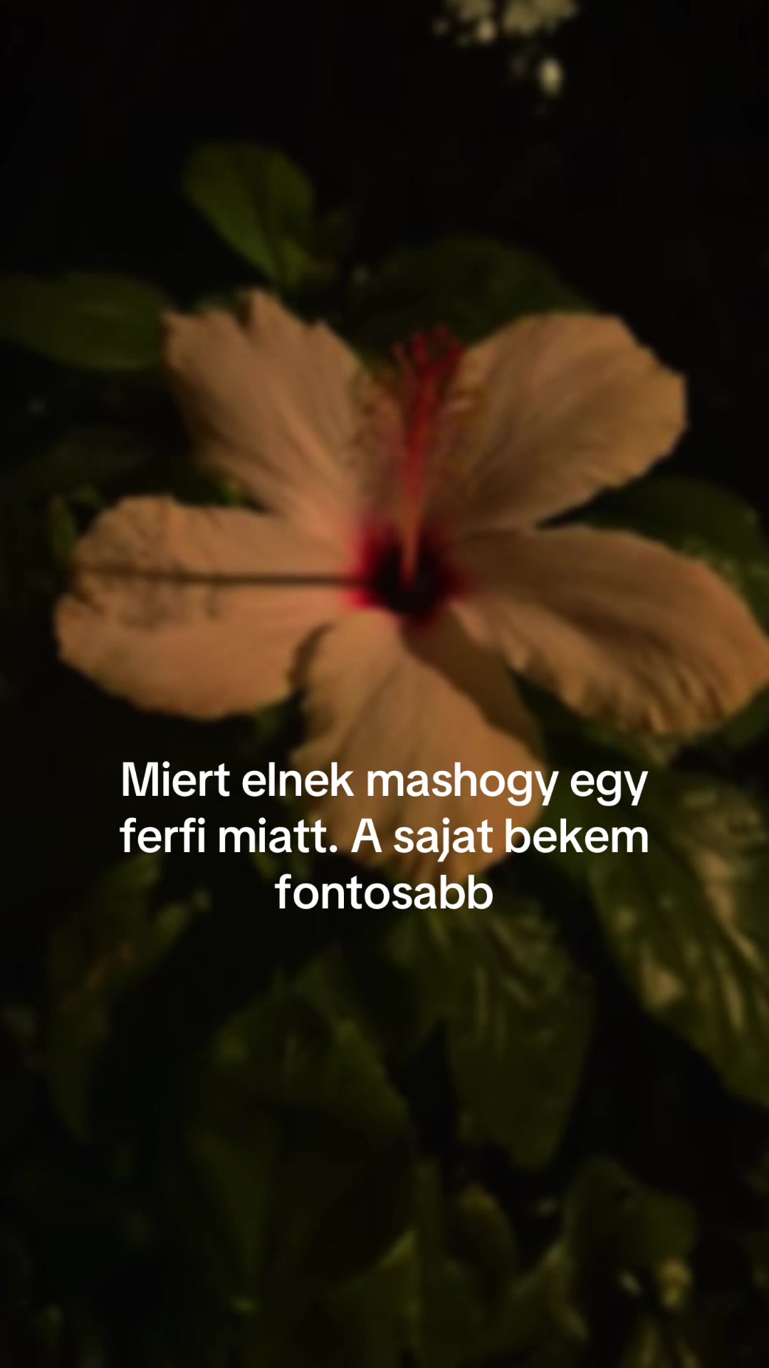 @Nessz