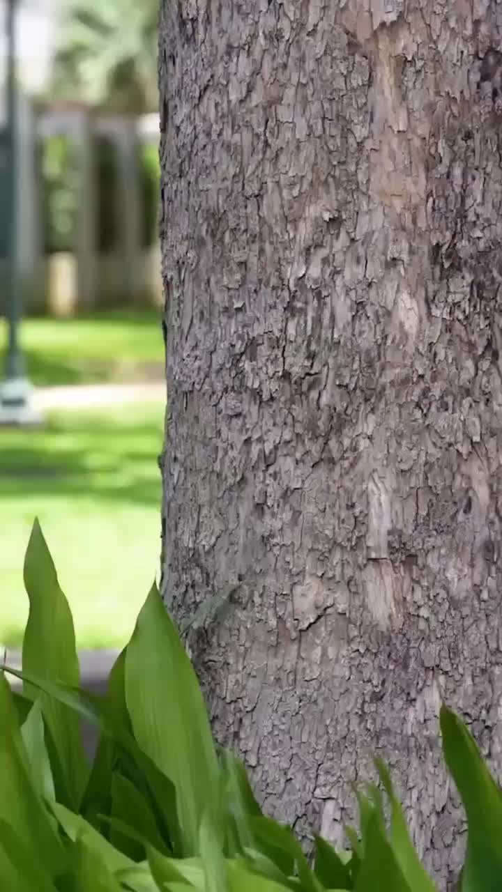 @thegolddiggerlover