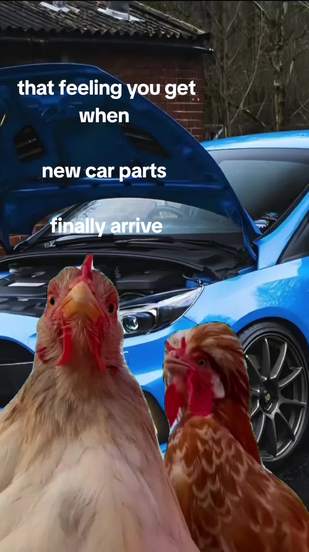@RS_PAUL