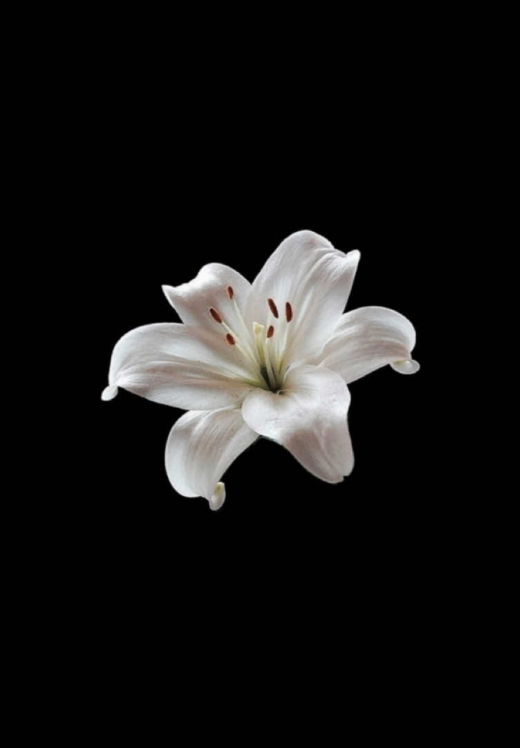 @احمد ؟