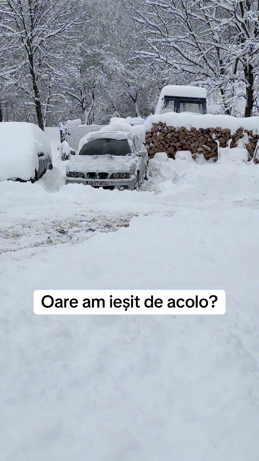 @Maria Horvat