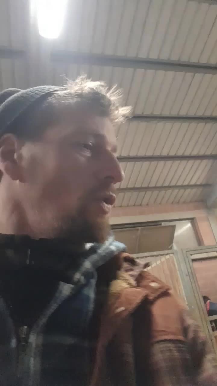 @giuliano.citti.scrittoreValli